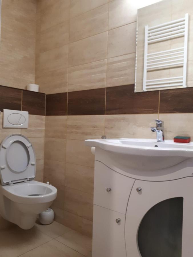 Apartamento Hunyadi Budget Ciresica Sibiu Exterior foto